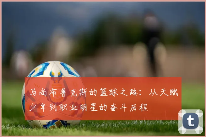 马尚布鲁克斯的篮球之路：从天赋少年到职业明星的奋斗历程