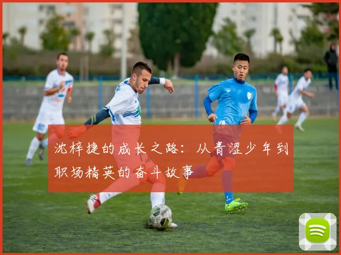 沈梓捷的成长之路：从青涩少年到职场精英的奋斗故事