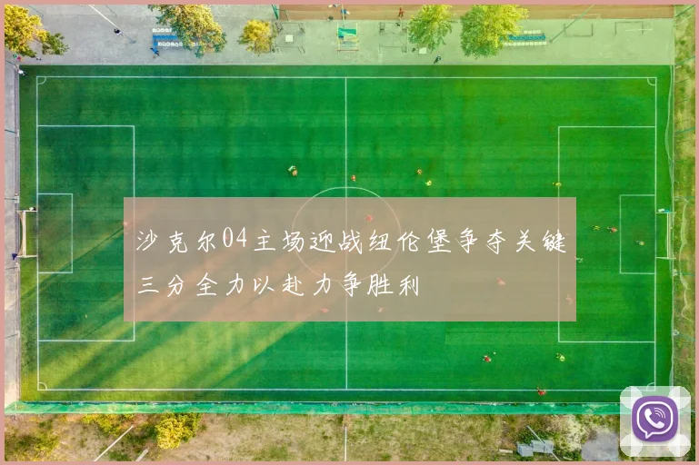 沙克尔04主场迎战纽伦堡争夺关键三分全力以赴力争胜利
