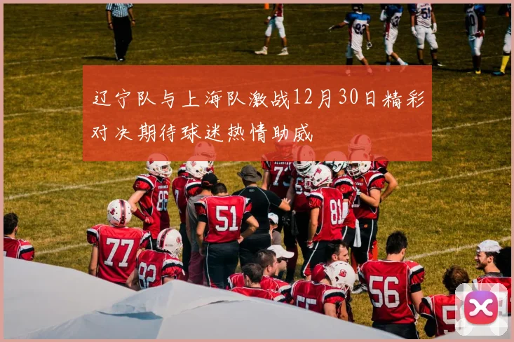 辽宁队与上海队激战12月30日精彩对决期待球迷热情助威