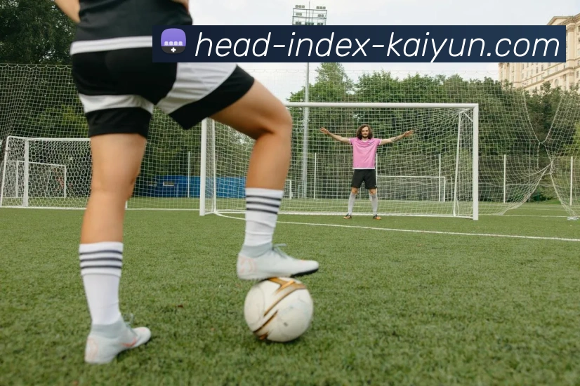 开云体育服务体系